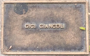 Giancoli, Gigi