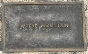 Mountain, Wayne