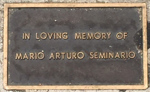 Seminario, Mario Arturo